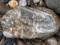 Stein in hellbraun und schwarz mit vielen Weißanteilen